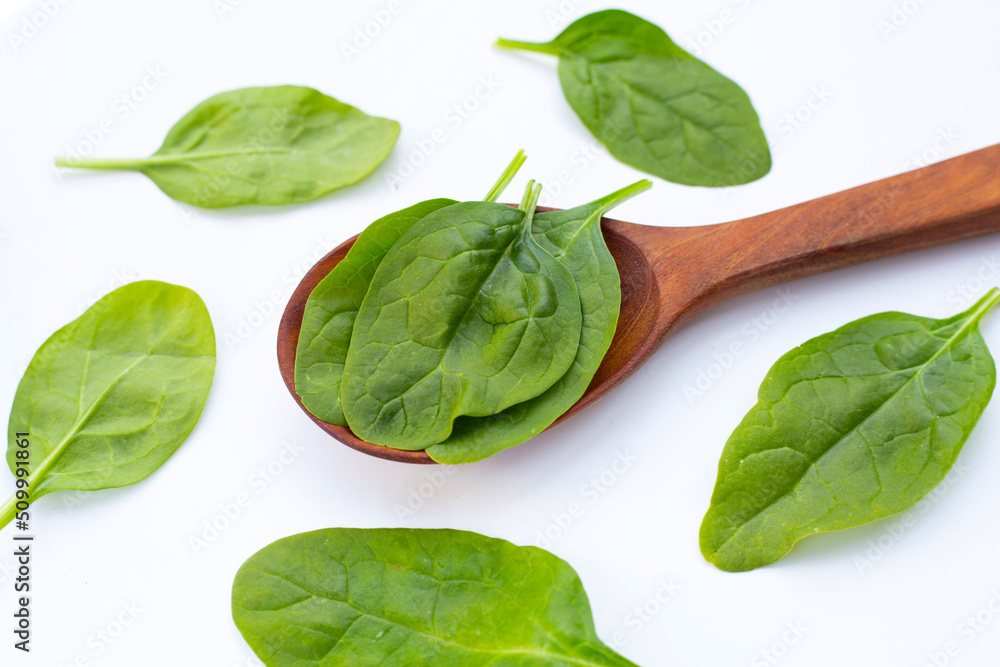 Spinach leaves. Extremely nutrient-rich vegetable Spinach leaves. Extremely nutrient-rich vegetable