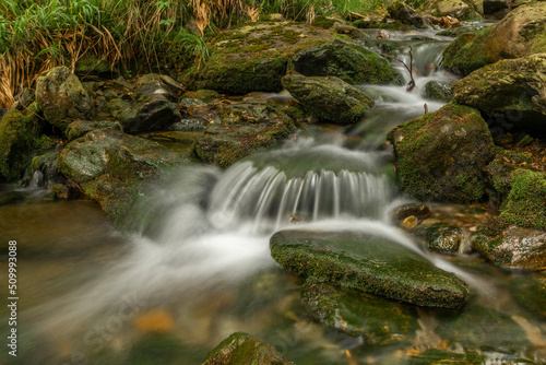 Plomnica creek near Karpacz town in spring soon morning