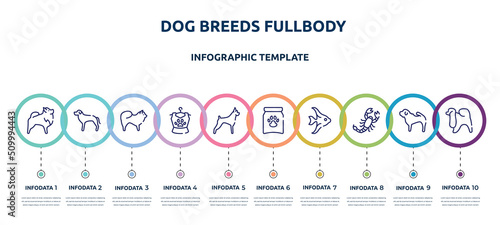 dog breeds fullbody concept infographic design template. included pomeranian, rottweiler, chow chow, pet clothing, boxer, treat, angelfish, scorpio, japanese chin icons and 10 option or steps.
