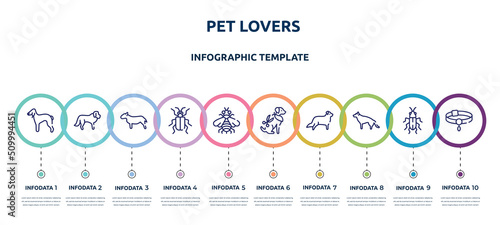 pet lovers concept infographic design template. included bedlington terrier, st bernard, bullterrier, asparagus beetle, bumblebee, grooming pet, bernese mountain, german sheperd, pet collar icons