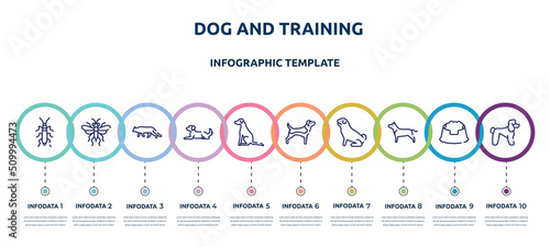 dog and training concept infographic design template. included null, sawfly, snowshoe cat, dog lying, pointer dog, beagle, pug, american staffordshire terrier, poodle icons and 10 option or steps.