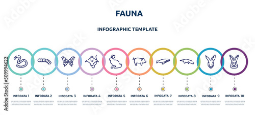 fauna concept infographic design template. included earth worm, silkworm, butterfly wings, stingray with long tail, sitting rabbit, pig with round tail, whale swimming, sitting anteater, rabbit head