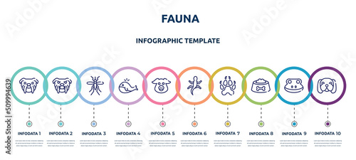 fauna concept infographic design template. included bulldog head, angry bulldog face, big mosquito, big whale, pig head, gecko, canine pawprint, dog food bowl, null icons and 10 option or steps.