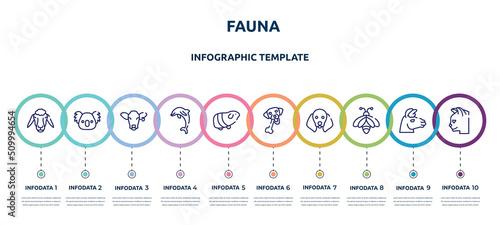 fauna concept infographic design template. included sheep head, koala head, cow head, jumping dolphin, guinea pig heag, chewing bone for dog, dog with floppy ears, big bee, cat icons and 10 option