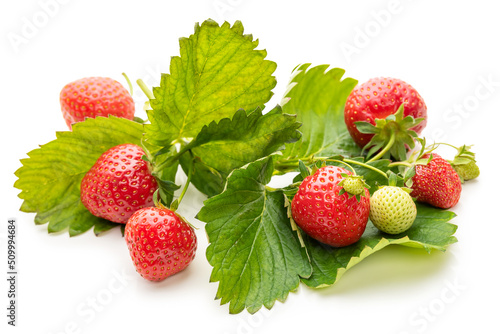 Strawberries with stems and leaves on a white background. Isolate