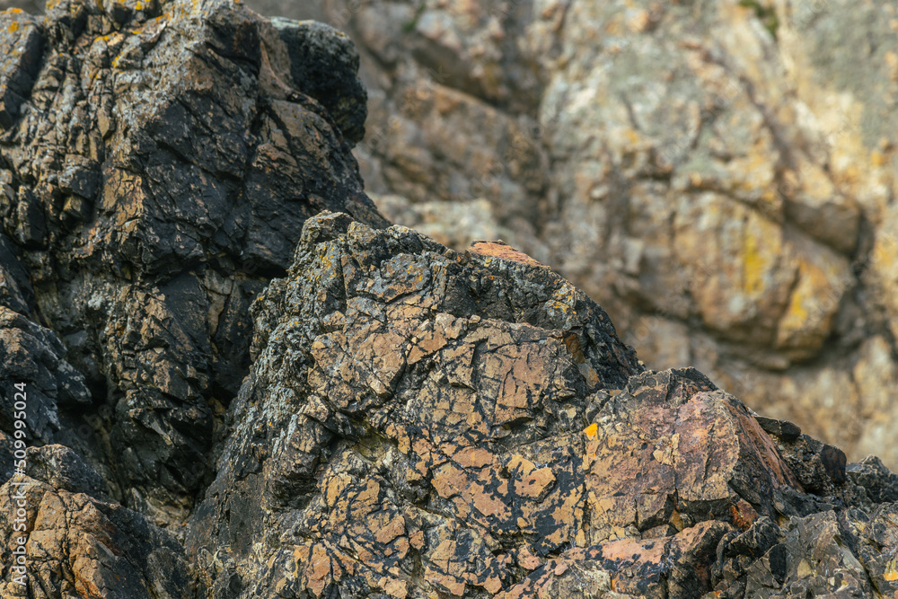 Rock surfaces in close-up photography, background for graphic designers, full of colors and details, Ireland