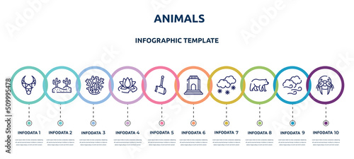 Foto animals concept infographic design template