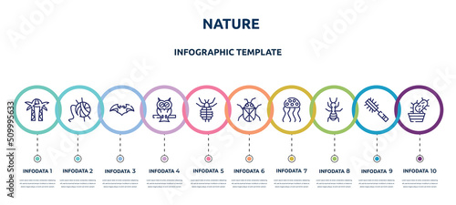 nature concept infographic design template. included palm tree, wool, bat, owl, louse, beetle, jellyfish, ant, cactus icons and 10 option or steps.