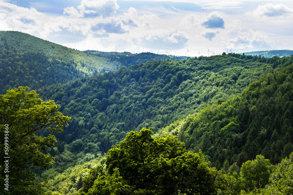 Fototapeta premium sunny day above green forest and hills of Moravia