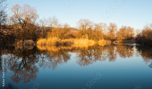 Reflection of trees and gras in water at autumn season
