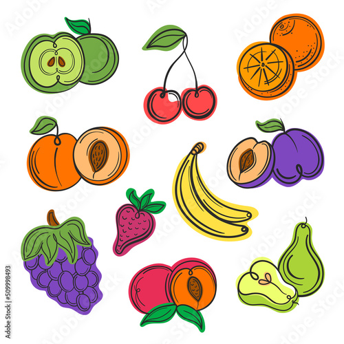 Vector illustration summer fruit set line, outline and abstract white background