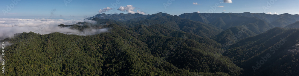 Aerial view tropical rainforest green tree forest and mountain hill forest with misty mountain clouds, Misty landscape with moutain green forest, Ecosystem and healthy environment.