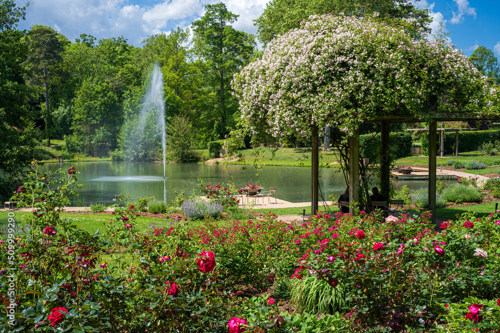 custom made wallpaper toronto digitalF, Loire, Orléans, Park und Garten, Parc Floral de la Source, Blick auf aus dem Rosarium auf den See