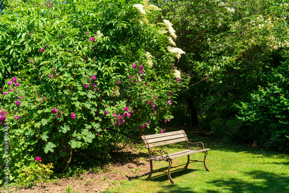 F, Loire, Parks und Gärten, Les Jardins de Roquelin, Meung-sur-Loire, heimelige, idyllische, Ecke, Winkel F, Loire, Parks und Gärten, Les Jardins de Roquelin, Meung-sur-Loire, heimelige, idyllische, Ecke, Winkel