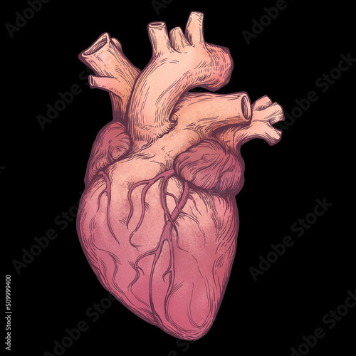 Realistic heart watercolor graphic on isolated black background