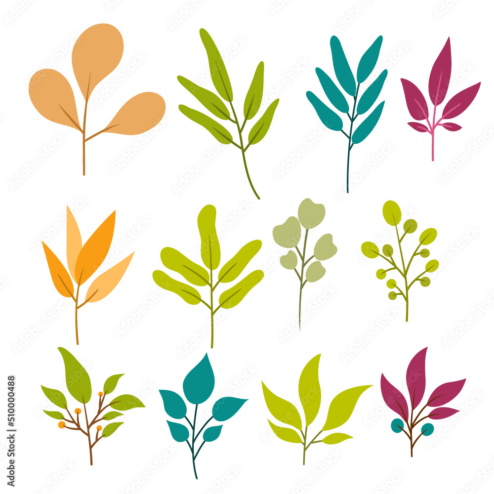 Set of Aesthetic Leaves Set of Aesthetic Leaves