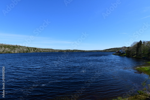 lake in the forest