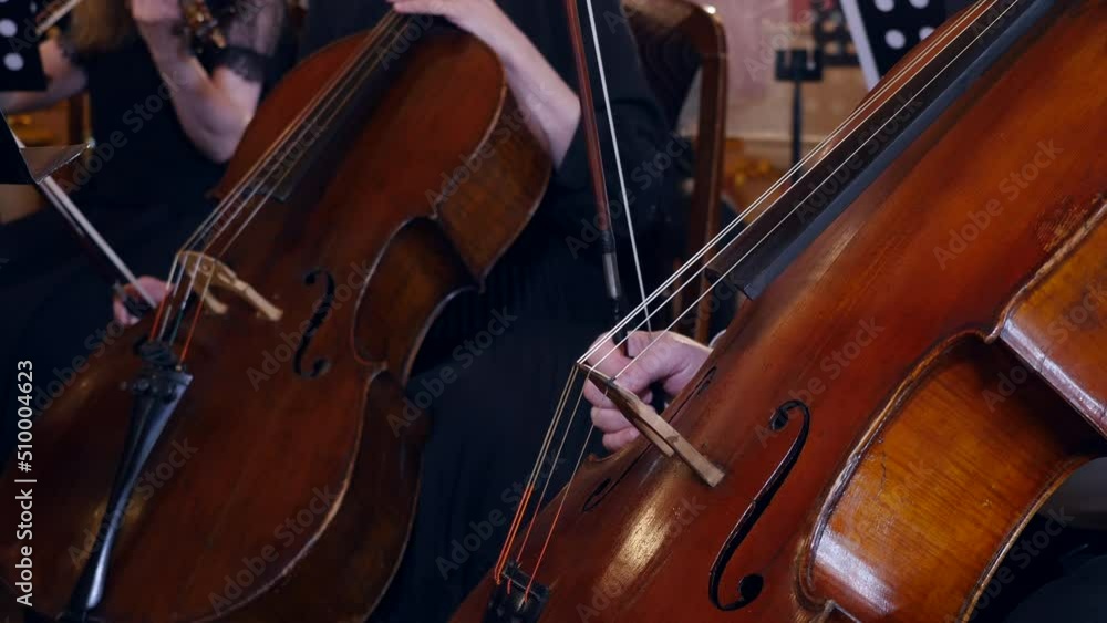 Musicians perform classical music on cellos in symphony orchestra Musicians perform classical music on cellos in symphony orchestra