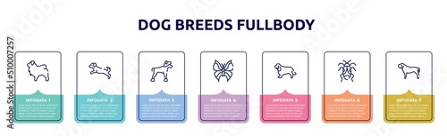 dog breeds fullbody concept infographic design template. included tibetan mastiff, dog scaping, chinese crested, leaf butterfly, english cocker spaniel, null, mastiff icons and 7 option or steps.
