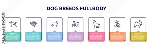 dog breeds fullbody concept infographic design template. included german shorthaired pointer, null, bernese mountain, dog and man seating, pug, null, pomeranian icons and 7 option or steps.