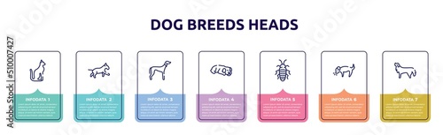 dog breeds heads concept infographic design template. included egyptian cat, bulterrier, saluki, dog sleeping, madagascan, dog smelling bernese mountain icons and 7 option or steps.