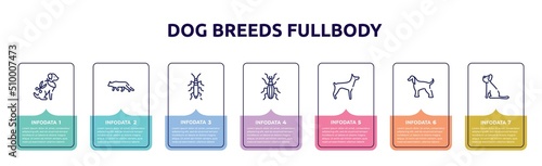 dog breeds fullbody concept infographic design template. included grooming pet, snowshoe cat, null, null, doberman, afghan hound, yorkshire terrier icons and 7 option or steps.