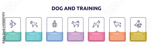 dog and training concept infographic design template. included angelfish, miniature schnauzer, red soldier beetle, chihuahua, boxer, newfoundland, dog and doggie icons and 7 option or steps.
