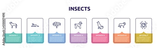 insects concept infographic design template. included rottweiler, border collie, pet collar, poodle, akitas, st bernard, spider black widow icons and 7 option or steps.