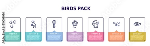 birds pack concept infographic design template. included raindrops, wild horse, hot air balloon, horse races badge, seashell, dog shitting, birds in nest icons and 7 option or steps.
