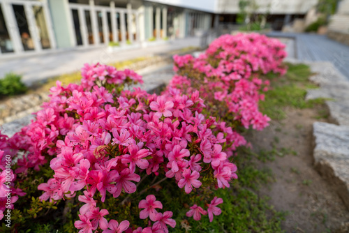 姫路駅前