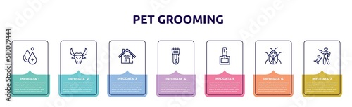 pet grooming concept infographic design template. included hydrotherapy, buffalo, dog house, hair clipper, nail polish, beetle, dog training icons and 7 option or steps.