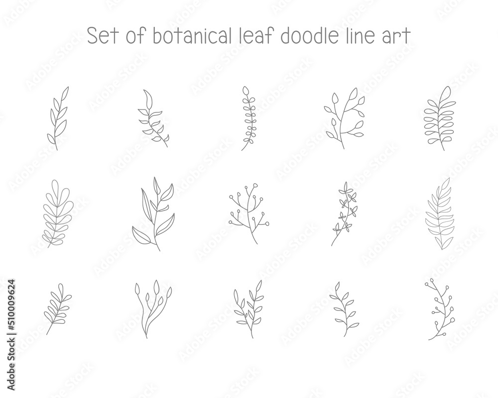 doodle art line botanical leaf element for decoration or printing