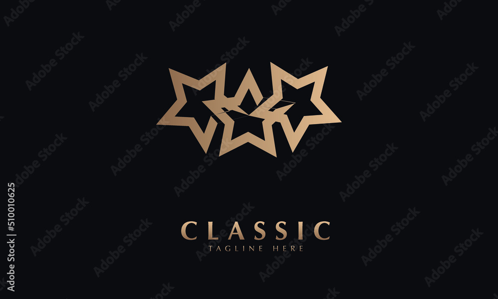 Star link abstract icon silhouette vector monogram logo template Star link abstract icon silhouette vector monogram logo template