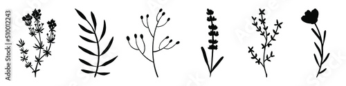 Hand drawn branches. Set of branches. Branch icon isolated. Vector illustration. Abstract branch with leaves.