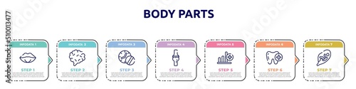 body parts concept infographic design template. included female mouth lips, brain body organ, medicines time, ball of the knee, bar graph with a cross, tooth with a plus, fetus in an uterus icons