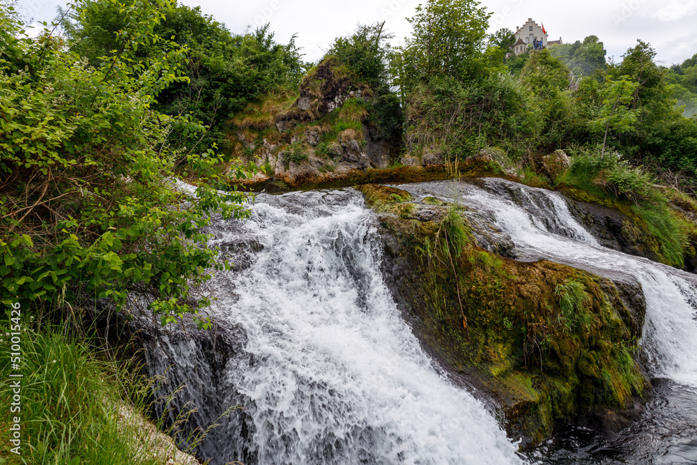 Small waterfall. Ferns Small waterfall. Ferns