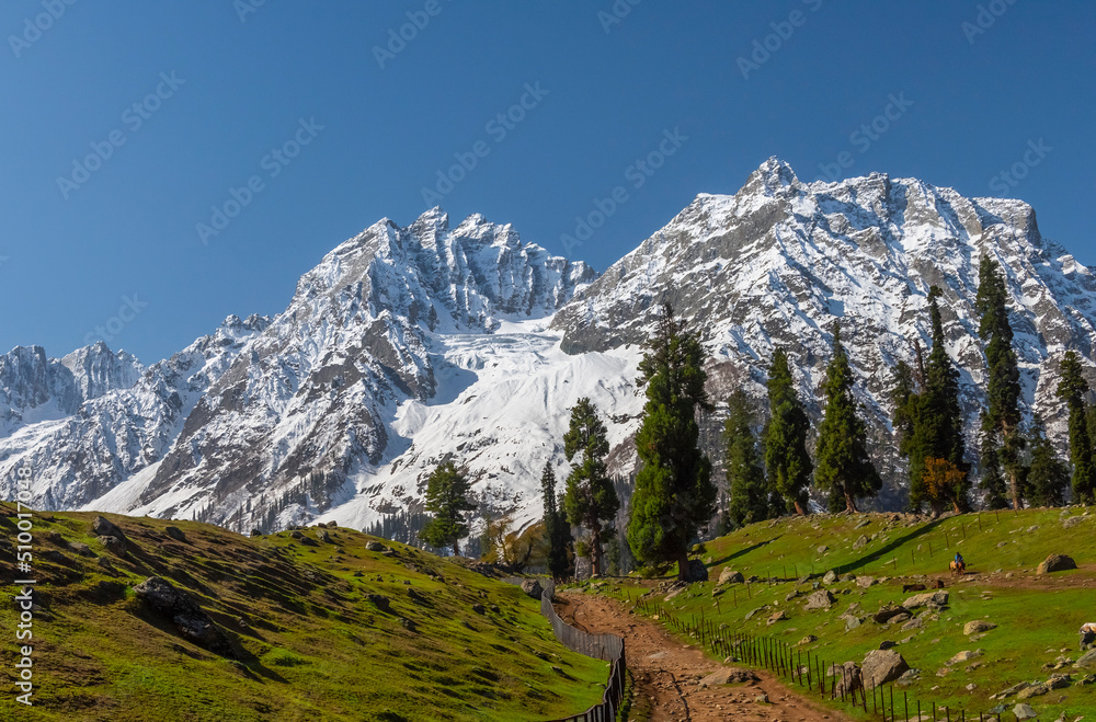 A path in alpine meadow in  Sonmarg, Kashmir, India