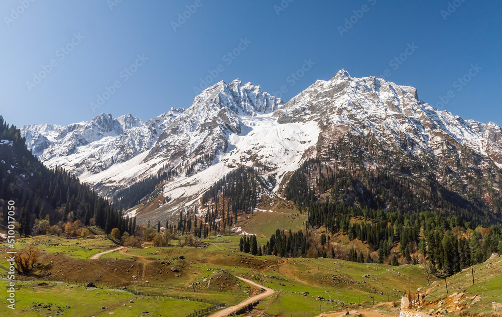 Vast alpine meadow with backdrop of snow clad peak in Sonmarg, Jammu and Kashmir, India