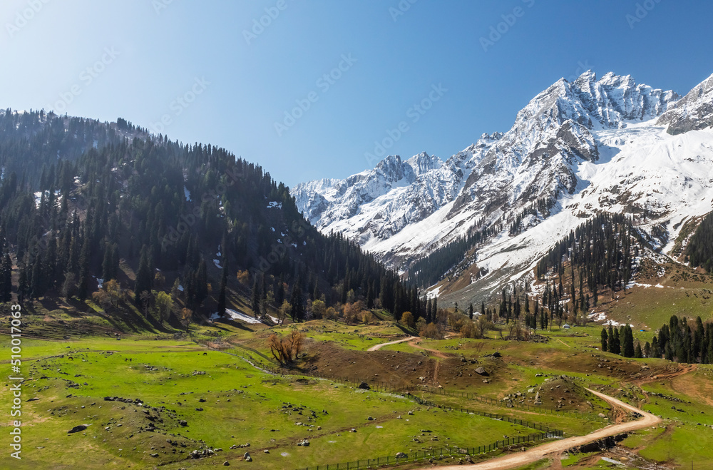 landscape at Sonmarg in the summer, with snow clad peak