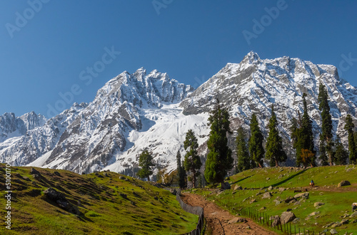 A path in alpine meadow in Sonmarg, Kashmir, India