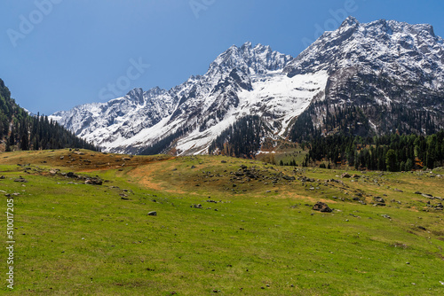 Snow clad peak and lush green meadow in foreground
