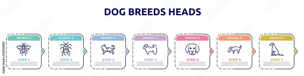 dog breeds heads concept infographic design template. included sawfly, null, toyger cat, shih tzu, dog puppy, dog smelling pointer icons and 7 option or steps. dog breeds heads concept infographic design template. included sawfly, null, toyger cat, shih tzu, dog puppy, dog smelling pointer icons and 7 option or steps.