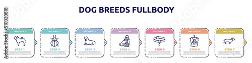 dog breeds fullbody concept infographic design template. included shar pei, pollen beetle, null, null, pet collar, pet clothing, dachshund icons and 7 option or steps.