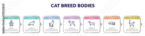 cat breed bodies concept infographic design template. included red soldier beetle, bernese mountain, egyptian cat, airedale, american staffordshire terrier, dog sleeping, bengal cat icons and 7