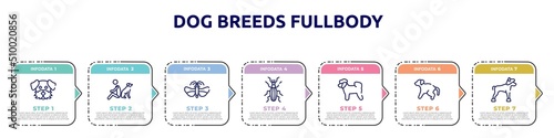 dog breeds fullbody concept infographic design template. included dog moustache, dog and man seating, null, null, bichon, scold the chinese crested icons and 7 option or steps.