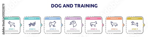 dog and training concept infographic design template. included miniature schnauzer, locust, malamute, dog licking, shetland sheepdog, bernese mountain dog, scaping icons and 7 option or steps.