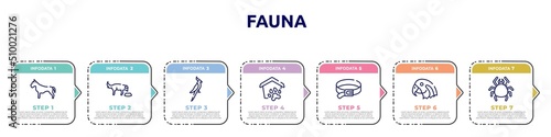 fauna concept infographic design template. included pitbull, feeding the dog, nymphicus hollandicus, pet shelter, dog leads, parrot head, big mite icons and 7 option or steps.