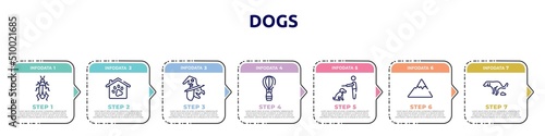 dogs concept infographic design template. included roach, pet hotel, witch, hot air balloon, null, mountain range, dog shitting icons and 7 option or steps.