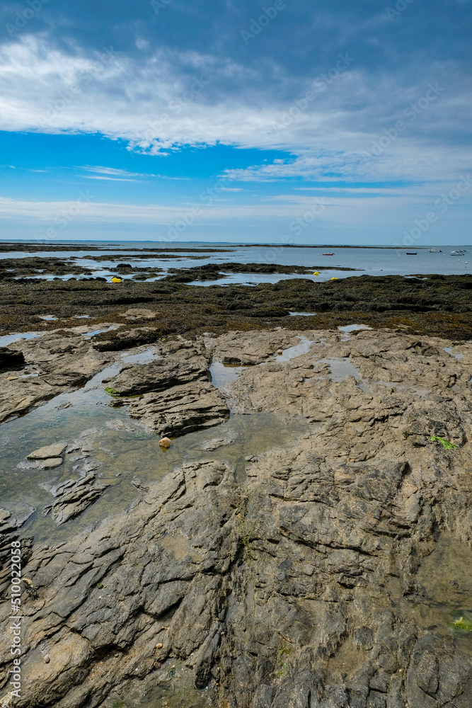 rochers à marée basse