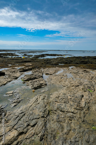 rochers à marée basse